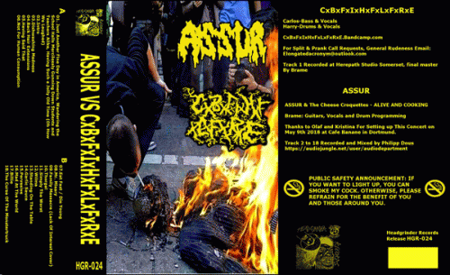 Catastrophic Blunt Force Intracranial Haemorrhage Fluid Leaking From Ruptured Eardrums : Assur - CxBxFxIxHxFxLxFxRxE